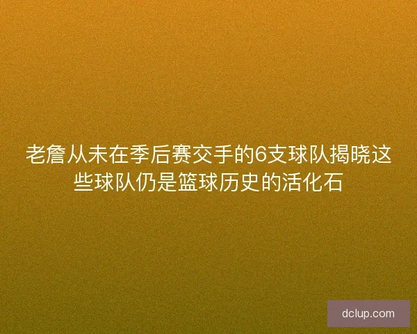 老詹从未在季后赛交手的6支球队揭晓这些球队仍是篮球历史的活化石